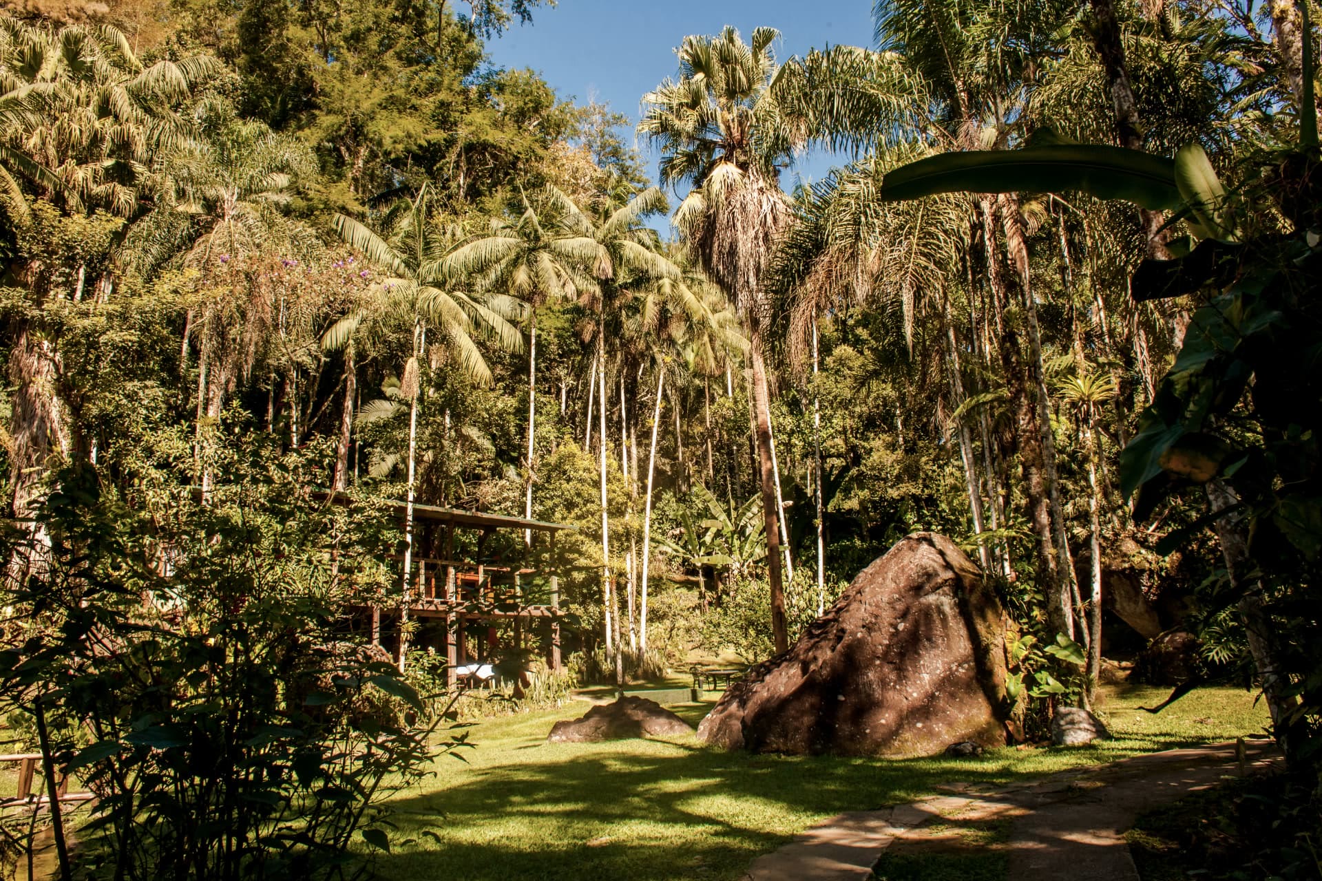 Mata e pedras do sítio
