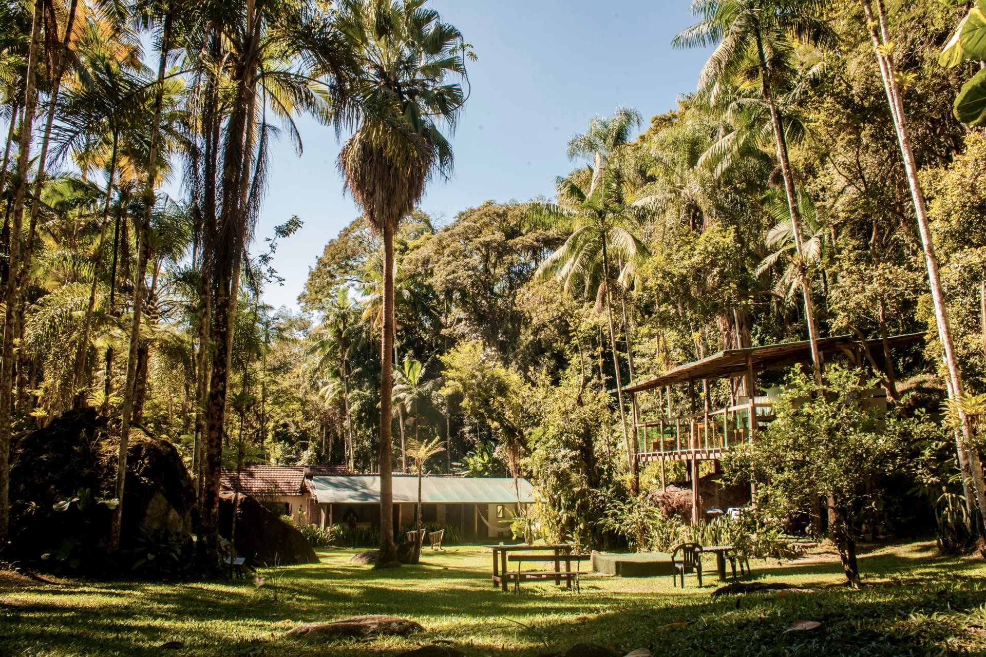 Jardim com palmeiras e deck ao fundo